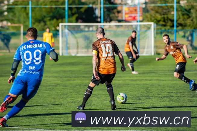 米兰体育网页官网平台生态图